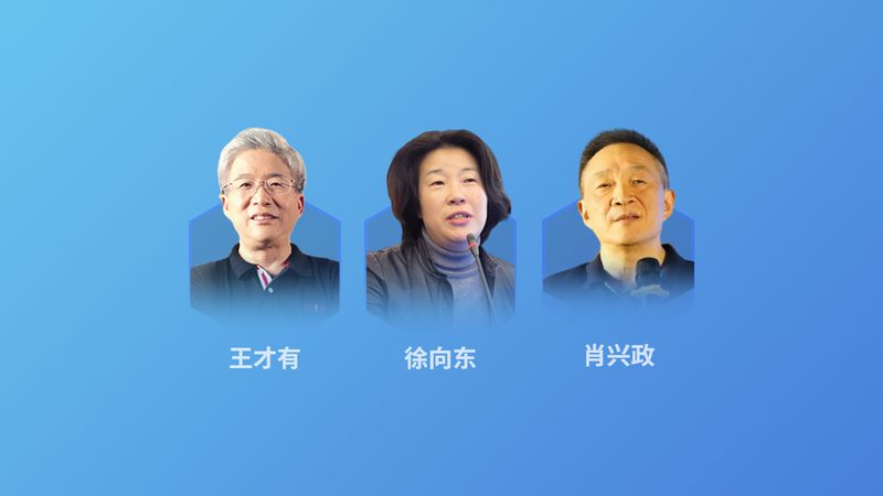 经络疏通减肥：揭秘其原理与科学依据**